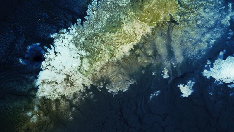 Art Project Sea Change