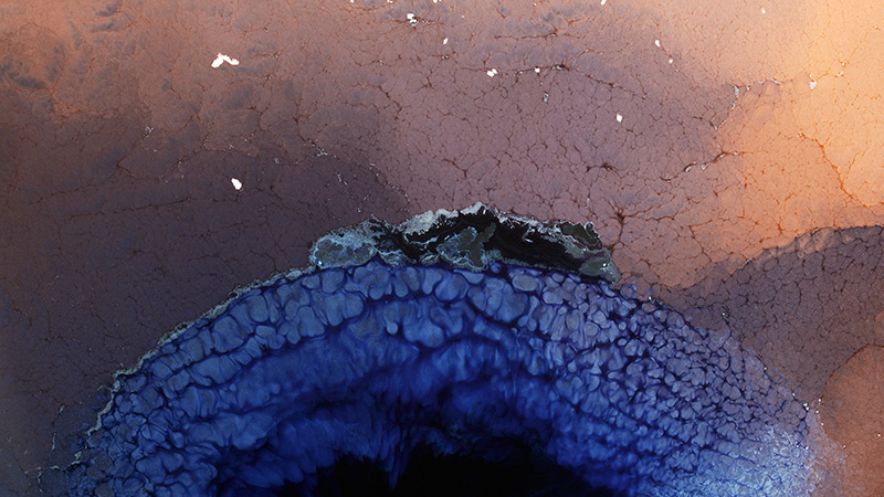 Art Project Sea Change 1